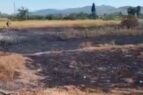 incendio padul