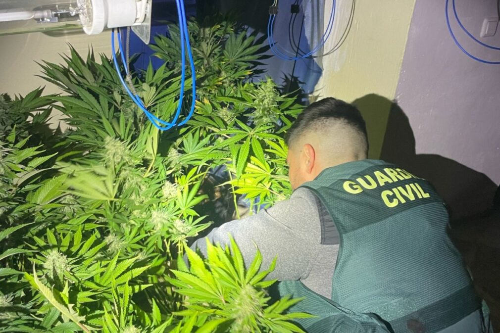 guardia civil marihuana