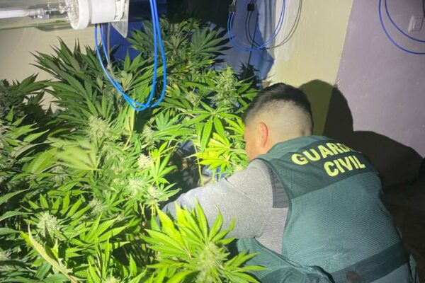 guardia civil marihuana