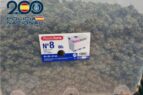 Marihuana caja