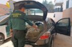 Pillado con tres kilos de marihuana por adelantar de forma temeraria a la Guardia Civil