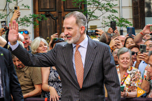 Rey Felipe VI