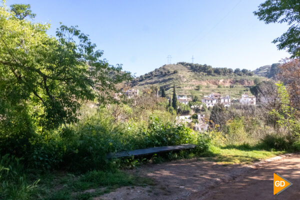 El Camino del Avellano