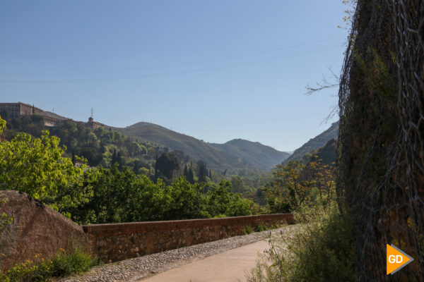 El Camino del Avellano