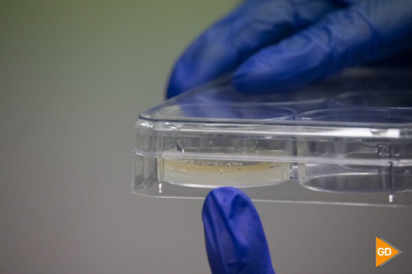 Biogel piel UGR