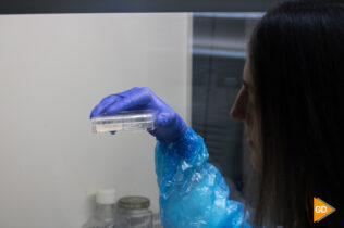 Biogel piel UGR