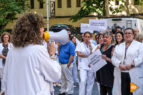 Manifestación Virgen de las Nieves