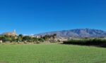 Comunidad de Regantes Motril- Agricultores