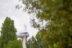 El Parque de las Ciencias se une a Google Arts & Culture en un viaje global por la biodiversidad de los árboles