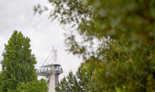 El Parque de las Ciencias se une a Google Arts & Culture en un viaje global por la biodiversidad de los árboles