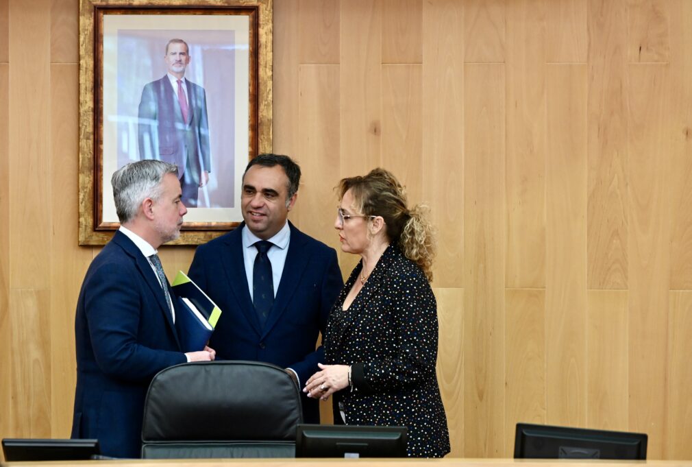 Pleno extraordinario de la Diputación de Granada